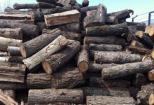 Photo of Guvernul lansează linia verde pentru suport informațional privind lemnele de foc