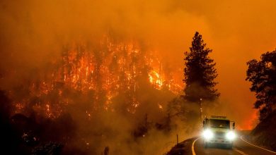 Photo of Un nou incendiu a cuprins nordul Californiei: Mii de oameni au fost evacuaţi