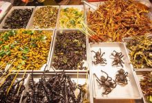 Photo of Marea Britanie încurajează oamenii din țările africane lovite de foamete să mănânce insecte bogate în vitamine și minerale