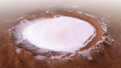 Photo of Descoperire uriașă pe Marte: Cercetătorii au găsit „cel mai bun indiciu” că sub gheața marțiană există apă lichidă
