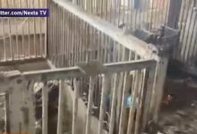 Photo of video | Soldații ruși sunt cazați în cotețele porcilor. Imagini cu militarii lui Putin dormind la un loc cu animalele