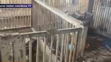 Photo of video | Soldații ruși sunt cazați în cotețele porcilor. Imagini cu militarii lui Putin dormind la un loc cu animalele
