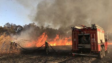 Photo of foto, video | Risc excepțional de incendiu în preajma sondelor de petrol din sudul R. Moldova. Au intervenit pompierii