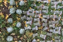 Photo of foto | Un tânăr din Ocnița, reținut pentru trafic de droguri. A fost găsită marijuana de aproximativ 600.000 lei