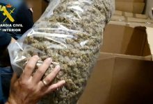 Photo of Record mondial stabilit de poliția spaniolă după ce a confiscat o cantitate uriașă de canabis. Valoarea uluitoare a capturii