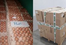 Photo of ANSA a dispus retragerea din comerț a unui lot de ouă