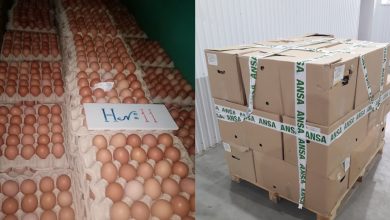Photo of ANSA a dispus retragerea din comerț a unui lot de ouă