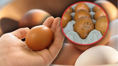 Photo of Cum îţi dai seama că un ou este stricat: Cel mai simplu mod, dezvăluit de bucătarii profesionişti