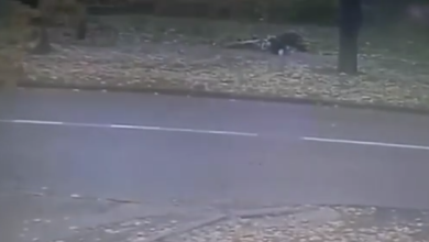 Photo of video | Momentul în care o fată de 13 ani este lovită de un biciclist: Acesta a plecat de la fața locului