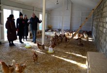 Photo of foto | La Isacova a fost inaugurată o mini-fermă de iepuri și găini ouătoare pentru copiii cu boli amenințătoare de viață
