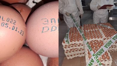 Photo of Un lot de ouă cu salmonella, retrase de pe piață. Recomandările ANSA