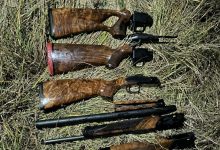 Photo of video | Un moldovean a încercat să intre în țară cu arme în valoare de zeci de mii de euro furate din Austria