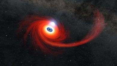 Photo of NASA a realizat cea mai apropiată imagine a unei găuri negre care devorează o stea