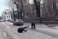 Photo of video | Scene rupte din film în capitală: Doi polițiști, luați pe capotă de un tânăr fără permis și cu Mercedes închiriat