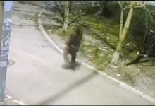 Photo of video | Un tânăr, reținut de polițiști după ce a jefuit două persoane: Unde au avut loc incidentele