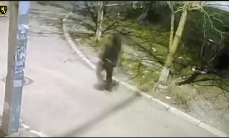 Photo of video | Un tânăr, reținut de polițiști după ce a jefuit două persoane: Unde au avut loc incidentele