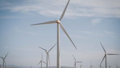 Photo of Record în R. Moldova: aproape jumătate din consumul de energie electrică a fost asigurat din surse verzi