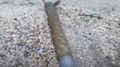 Photo of video | Componentă a unei rachete, adusă de valuri pe o plajă din România