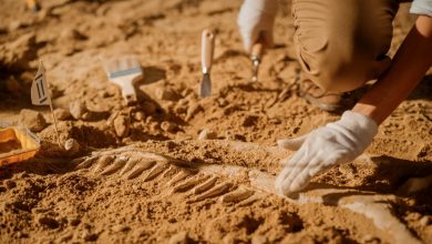 Photo of Arheologii au descoperit o groapă comună preistorică, plină cu schelete decapitate