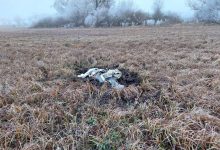 Photo of foto | Resturile unei rachete au fost descoperite într-un sat din nordul R. Moldova. Precizările autorităților