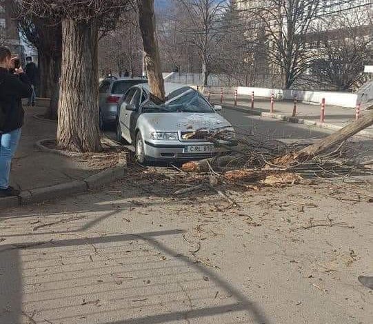 Photo of foto | Un șofer s-a trezit cu mașina zdrobită de un copac. Unde s-a întâmplat