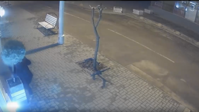 Photo of video | Trei bărbați, reținuți după ce au furat mai mulți arbori decorativi din centrul capitalei