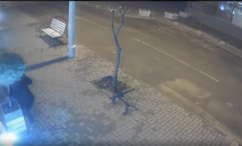 Photo of video | Trei bărbați, reținuți după ce au furat mai mulți arbori decorativi din centrul capitalei