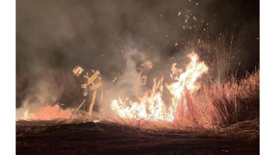 Photo of Peste 70 hectare de teren, mistuite de flăcări în ultimele două zile