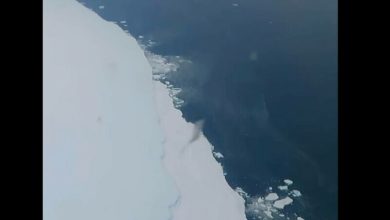 Photo of video | Momentul în care un aisberg uriaș de mărimea Londrei se desprinde de banchiză în Antarctica