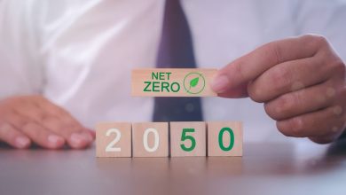 Photo of R. Moldova va fi inclusă în programul SUA „Net Zero World”