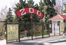 Photo of Biletele la Grădina Zoologică din Chișinău vor deveni mai ieftine