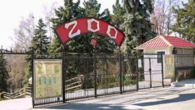 Photo of Biletele la Grădina Zoologică din Chișinău vor deveni mai ieftine