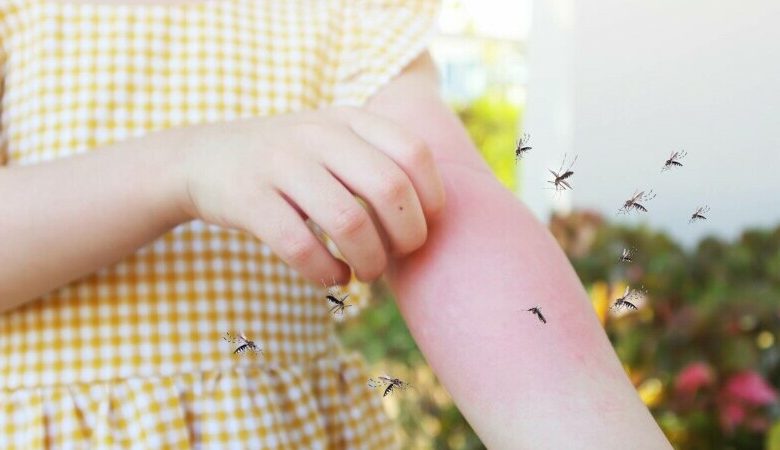 Photo of Avertismentul OMS: O specie nouă de țânțari, care transmit boli foarte grave, se răspândește în Europa