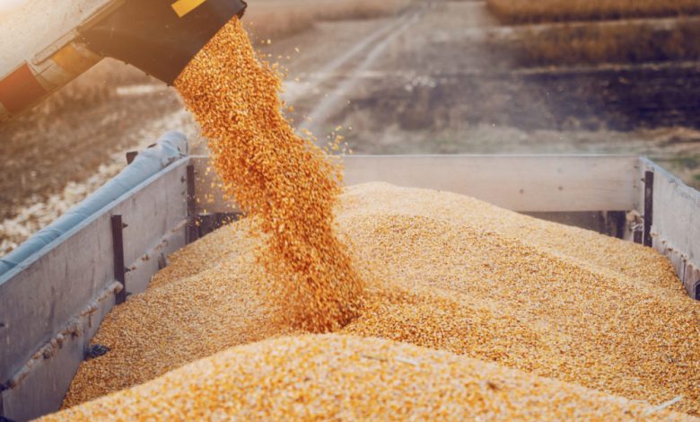 Photo of Fermierii amenință cu proteste, dacă guvernul nu va interzice importul cerealelor din Ucraina și nu le va compensa pierderile