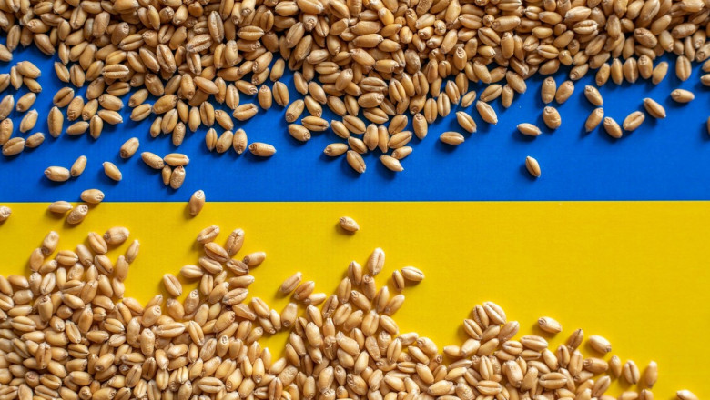 Photo of Neînțelegeri în UE privind prelungirea restricţiilor pentru cerealele din Ucraina
