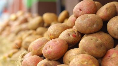 Photo of Cartofii, ceapa, varza, morcovii și sfecla nu vor mai fi considerate produse social importante