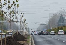 Photo of Fotbal la Chișinău: Circulația transportului public pe o porțiune din bd. Dacia va fi sistată