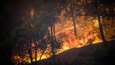 Photo of MAEIE recomandă cetățenilor Republicii Moldova să evite deplasările în zonele din Grecia afectate de incendii