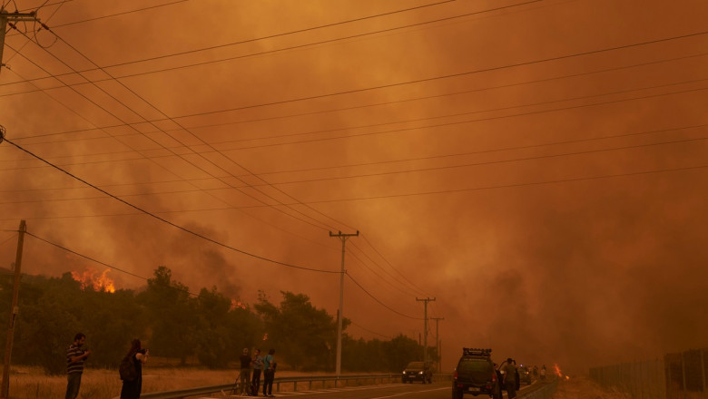 Photo of foto | Incendii masive de vegetație: Grecia cere ajutorul UE