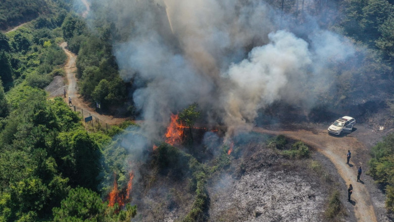 Photo of O pădure din Turcia a ars după ce o mașină a luat foc, iar șoferul a abandonat-o pe marginea drumului