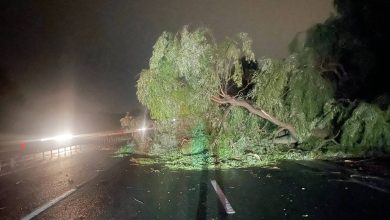 Photo of foto, video | Furtuna de noaptea trecută a lăsat în urmă pagube enorme în toată republica. Îndemnul autorităților