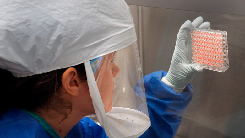 Photo of Un virus se răspândește, se adaptează și ar putea infecta mai ușor oamenii: OMS face apel la guverne să protejeze populația