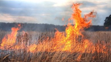 Photo of Avertizare: Pericol de incendii până la mijlocul lunii septembrie