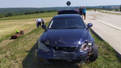 Photo of foto | Un Lexus a intrat cu viteză într-o turmă cu oi: 29 dintre ele ar fi murit