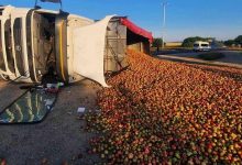 Photo of foto | Ar fi pierdut controlul volanului: Un camion încărcat cu mere s-a răsturnat într-un șanț