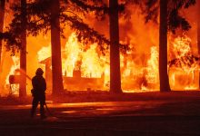 Photo of Inteligența artificială depistează incendiile de vegetație. Cum funcționează programul ALERTCalifornia