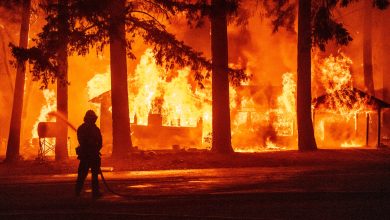 Photo of Inteligența artificială depistează incendiile de vegetație. Cum funcționează programul ALERTCalifornia