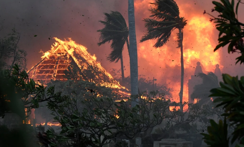 Photo of video | Stare de dezastru în Hawaii: Cel puțin 53 de morți în urma incendiilor