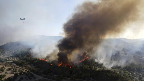 Photo of Incendiile de vegetaţie din Grecia: 18 cadavre au fost găsite într-o pădure