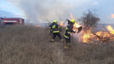 Photo of foto | Pompierii luptă de mai multe ore cu un incendiu de vegetație de la Stăuceni